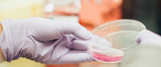Can Delta-8  Make You Fail a Drug Test?