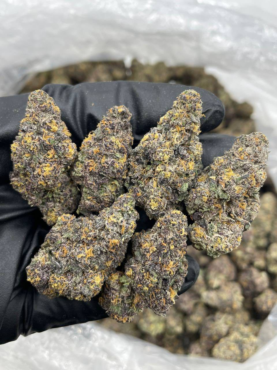 Our special flowers