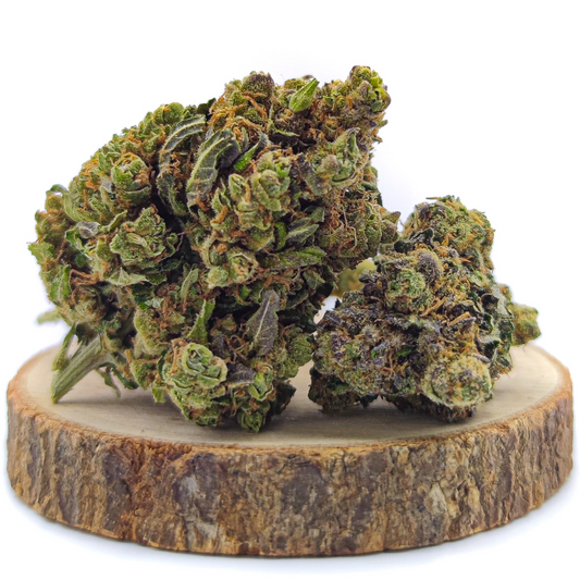 Amnesia Sativa L THC